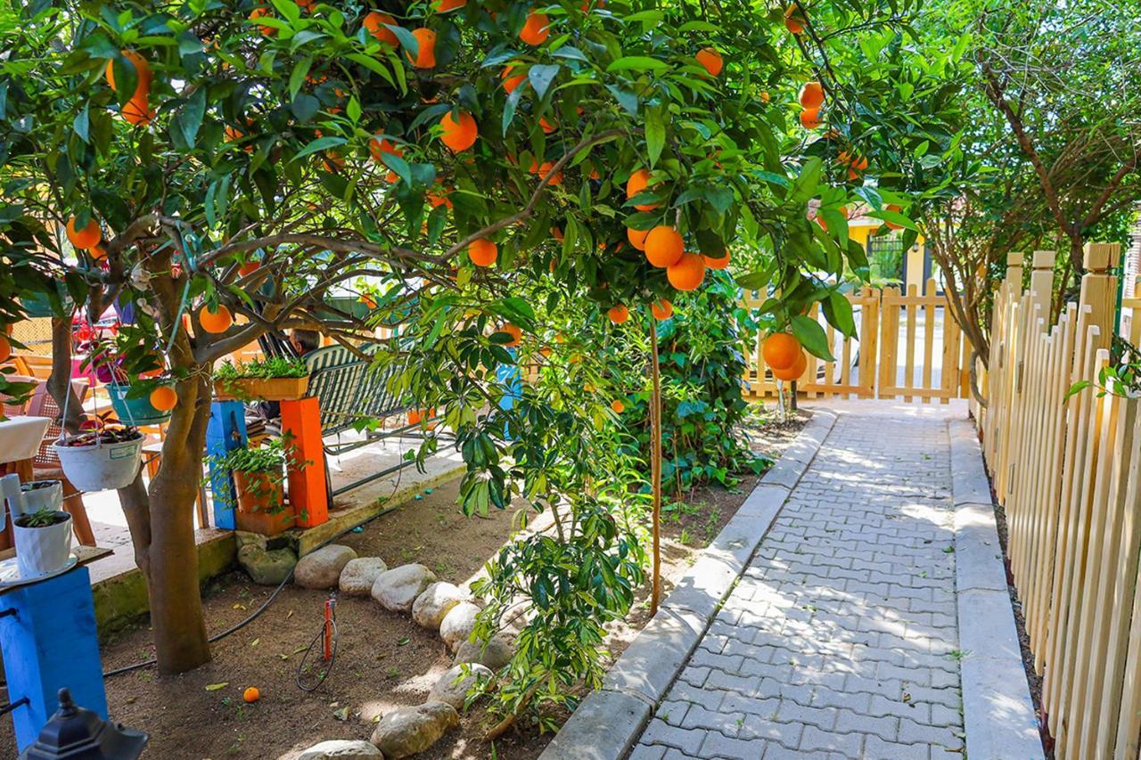 Three Islands Bungalow Çıralı Εξωτερικό φωτογραφία