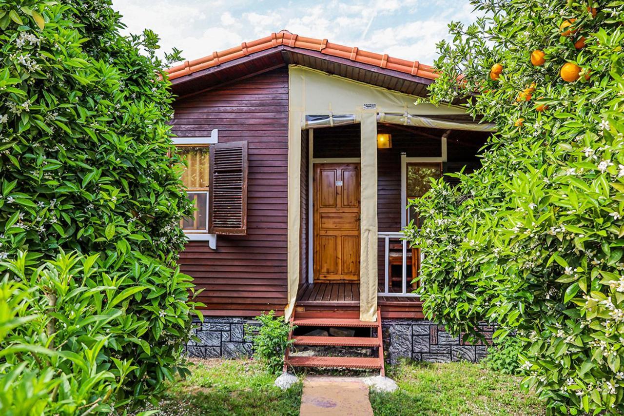 Three Islands Bungalow Çıralı Εξωτερικό φωτογραφία