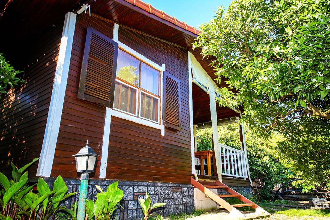 Three Islands Bungalow Çıralı Εξωτερικό φωτογραφία