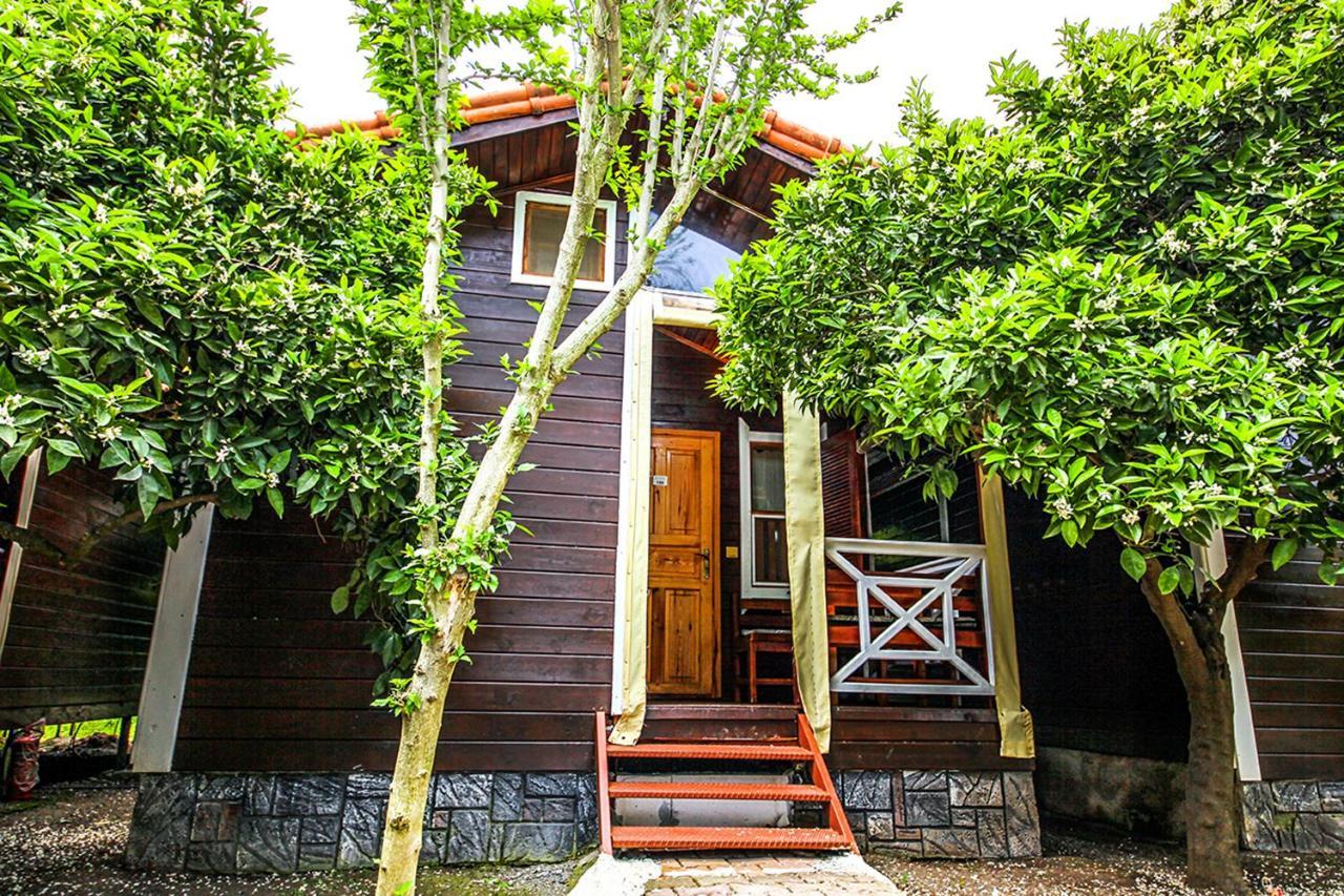 Three Islands Bungalow Çıralı Εξωτερικό φωτογραφία