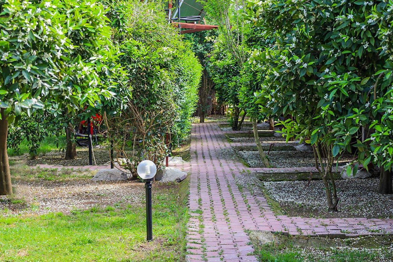 Three Islands Bungalow Çıralı Εξωτερικό φωτογραφία