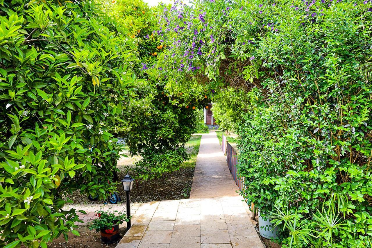 Three Islands Bungalow Çıralı Εξωτερικό φωτογραφία